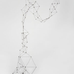Columna Reticulárea