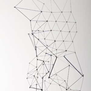 Reticulárea triangular