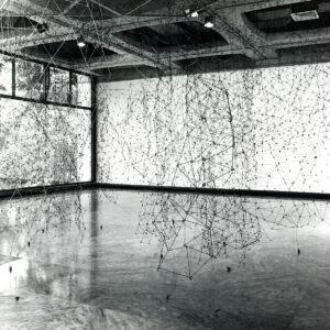 Reticulárea 1974