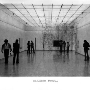 Reticulárea 1977